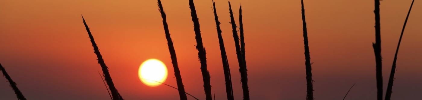 A sunset in Ludington State Park